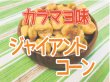 画像1: ジャイアントコーン【カラマヨ味】 (1)