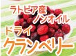 画像2: 【ノンオイル】ドライクランベリー　ラトビア産 (2)