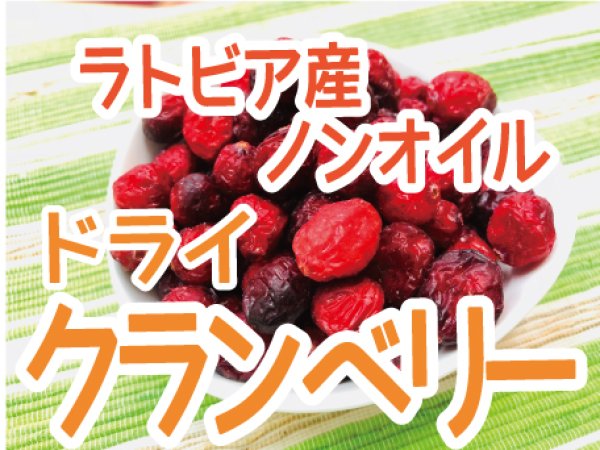 画像2: 【ノンオイル】ドライクランベリー ラトビア産 (2)