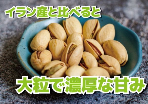 画像3: スペイン産　素焼きピスタチオ　しお味 (3)