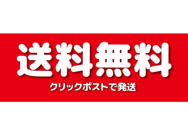 画像2: 送料無料　ドライジューシーパイン　500gパック (2)