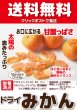 画像1: 【送料無料】　ドライみかん　500g (1)