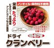 画像1: 【ノンオイル】ドライクランベリー　ラトビア産 (1)
