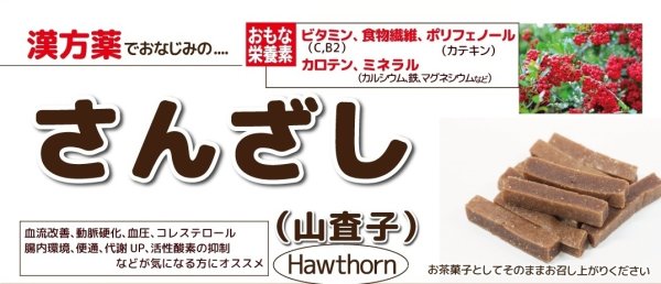 画像1: 山査子(さんざし) (1)