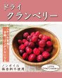 画像1: 【ノンオイル】ドライクランベリー　ラトビア産 (1)