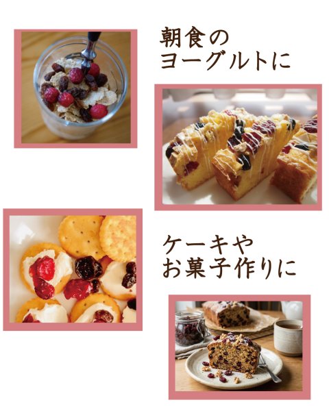 画像3: 【ノンオイル】ドライクランベリー　ラトビア産 (3)