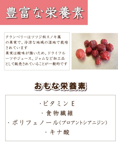 画像2: 【ノンオイル】ドライクランベリー　ラトビア産 (2)