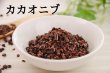 画像1: 【無添加】 カカオニブ (1)